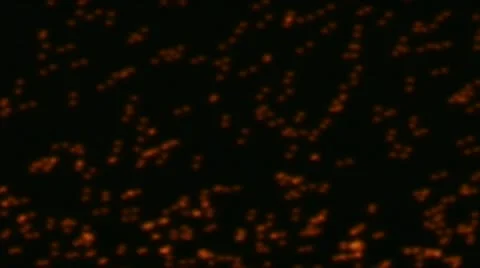 Ppulse redrise 動画素材 9775243