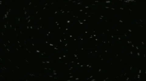 Ppulse white field shake 動画素材 9780204