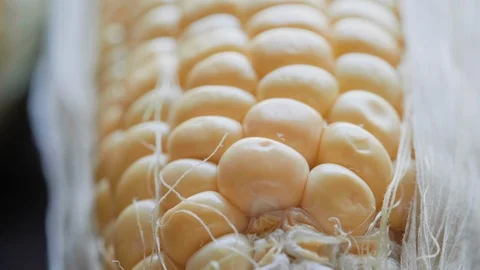 PR SC 019 Stock Footage 108638257