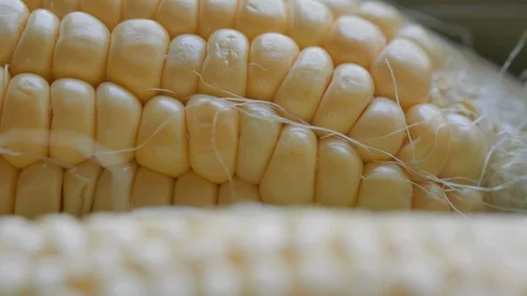 PR SC 021 Stock Footage 108638401