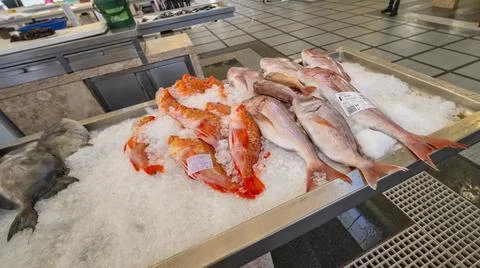 Praca do Peixe Fish Market, Funchal Stock Photos