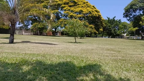Praça in Piracicaba Brazil timelapse Stock Footage 258861589