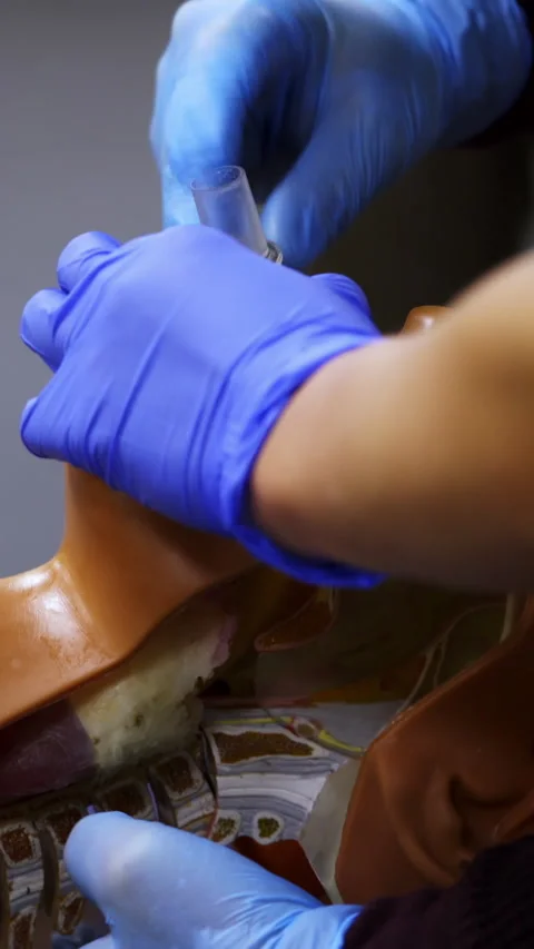 Practical course on a dummy's head. Stock Footage 278587076