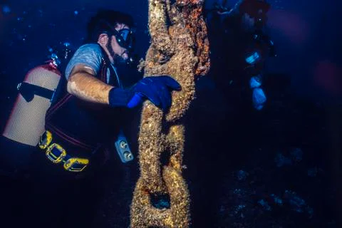 Practice of diving in the sea Stock Photos