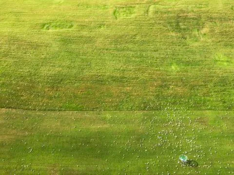 The Practice Field In A Golf School Stock Photos