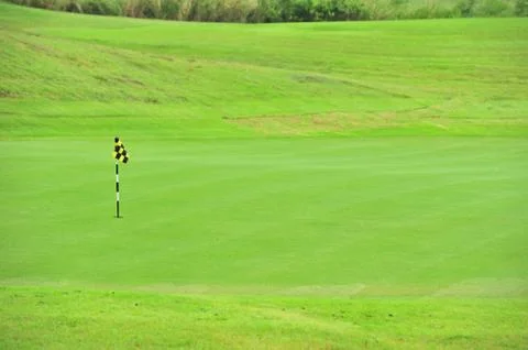 Practice golf putting hole Foto stock