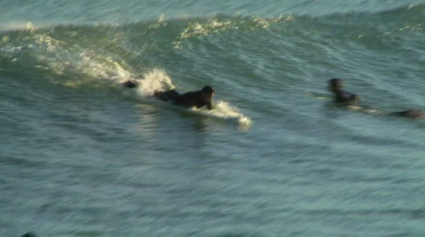 Practice Makes Perfect Stock Footage 346613