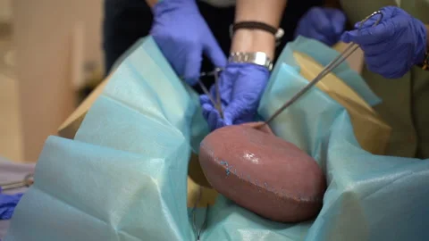 Practice of students of gynecological surgeons Video stock 202100070