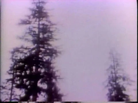 The practices of old time logging are quite different from those of modern Video stock 75191033