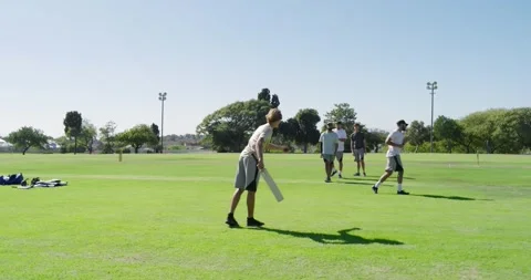 Practicing diverse male teammates playing cricket on field, cricket bat, stumps, Stock Footage 342017995