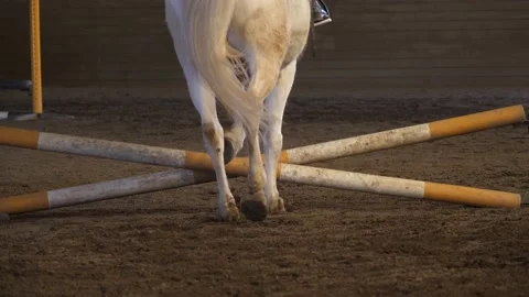 Practicing the Power of Horseback Riding: Colt and Jockey over Obstacle. Stock Footage 237691965