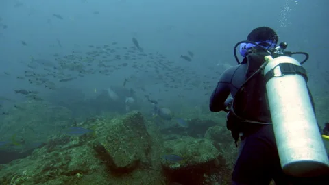 Practicing scuba diving in the waters of the Caribbean Sea underwater Stock Footage 100086497