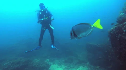 Practicing scuba diving in the waters of the Caribbean Sea underwater Stock Footage 100089642