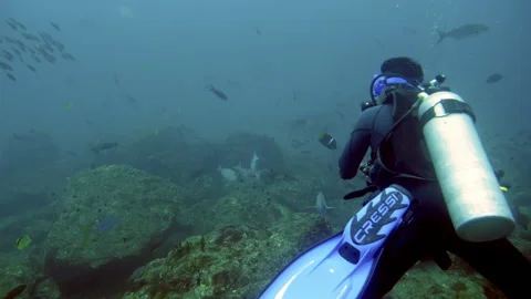 Practicing scuba diving in the waters of the Caribbean Sea underwater Stock Footage 100091469