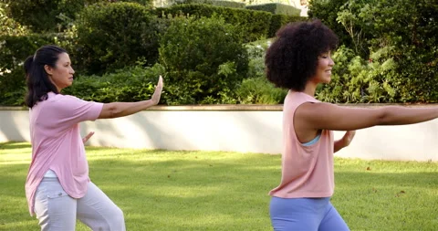 Practicing Tai Chi in park, mother and adult daughter exercising together Stock Footage 299514193