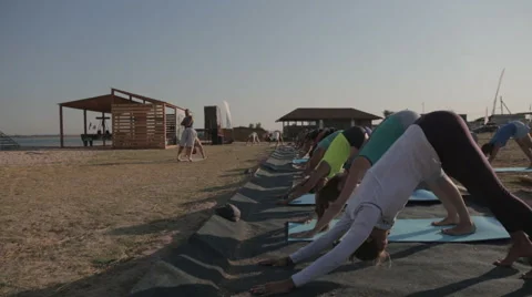 Practicing Yoga People Perform Pose "dog Muzzle Down" at the Seaside Stock Footage 61270925