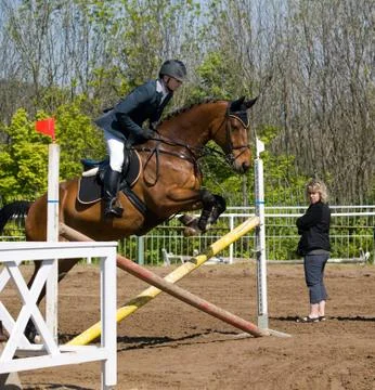 Practise before showjumping Stock Photos