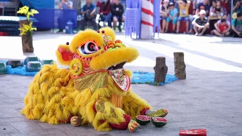 Practitioners in costume lion dance Stock Footage 117400690