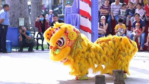Practitioners in costume lion dance Stock Footage 117400705