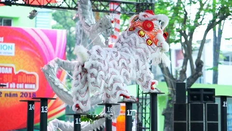Practitioners in costume lion dance Stock Footage 117400812