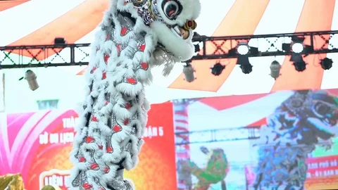 Practitioners in costume lion dance Stock Footage 117401049