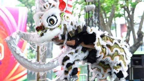 Practitioners in costume lion dance Stock Footage 117401080