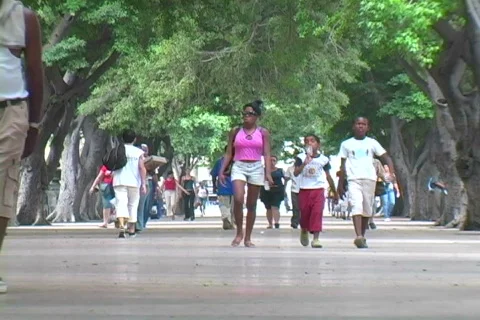 Prado people walking 2 Stock Footage 397349