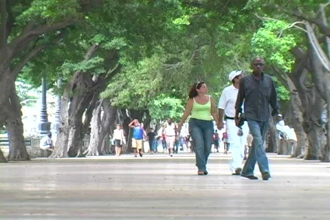 Prado people walking Stock Footage 397379