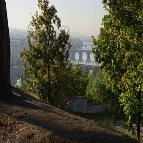 Prague Bridges View Dolly Trees - 4k - Slow Motion Stock-Footage 69701502