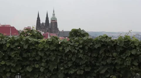Prague Castle Stock Footage 41317033