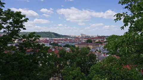 Prague Castle Framed by Tree Leaves in Foreground, 120fps Stock Footage 312575218