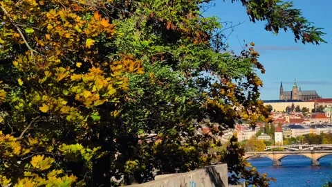 Prague Castle Red Rooftops Czech Republic Cityscape Drone 4K Footage Stock Footage 320182410