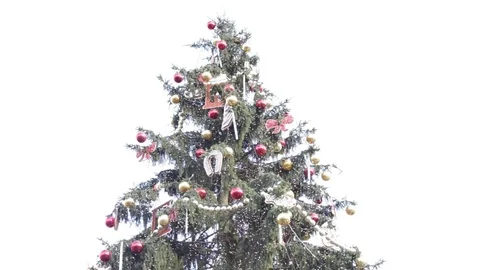 Prague Christmas Tree Stock Footage 70193053