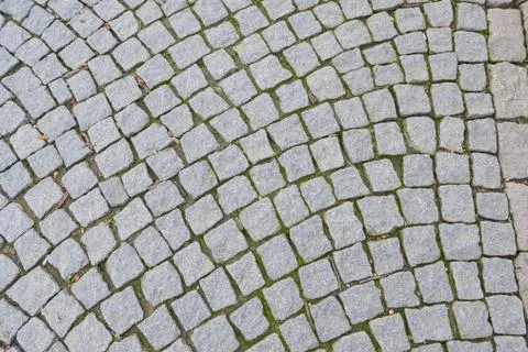 Prague cobblestone gray Stock Photos
