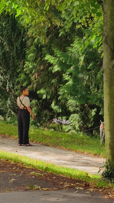 PRAGUE, CZECH REPUBLIC – AUGUST 28, 2026: Woman walks her dog 4K footage Vídeo Stock 343924977