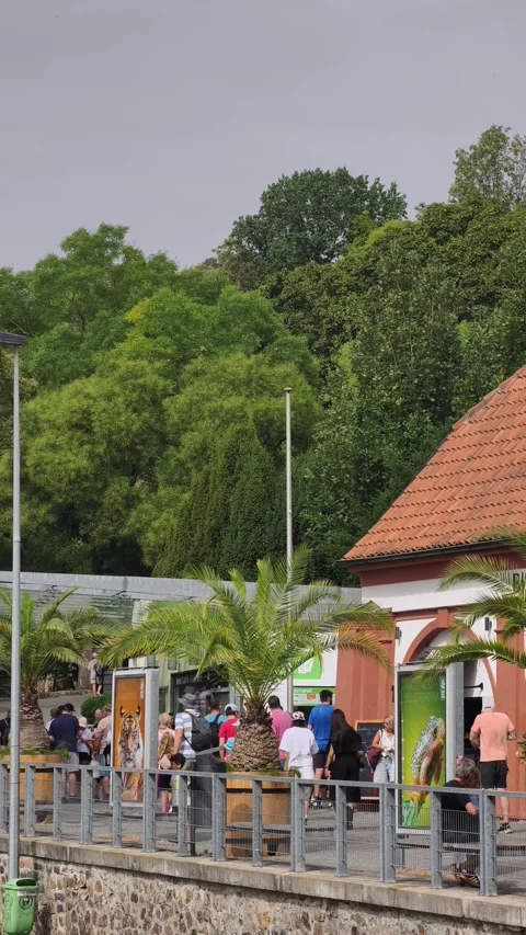 PRAGUE, CZECH REPUBLIC – AUGUST 28, 2026: Visitors gather near the Prague Zoo 4K Video stock 343926628