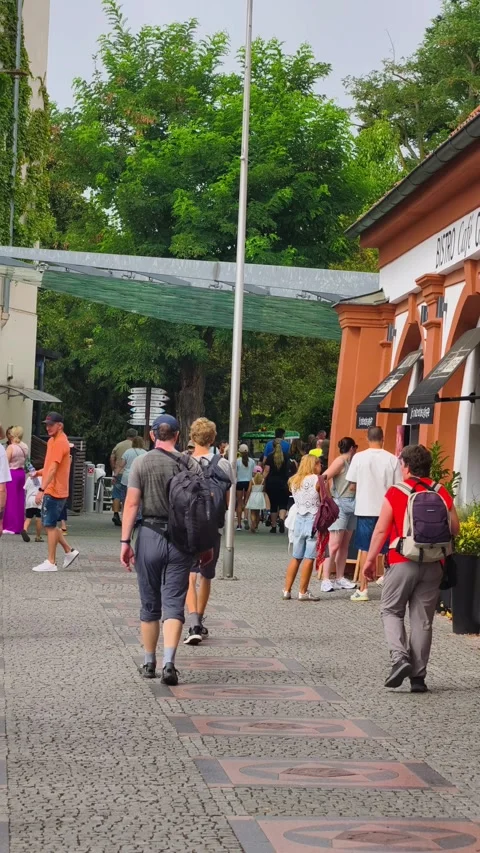 PRAGUE, CZECH REPUBLIC – AUGUST 28, 2026: Visitors gather near the Prague Zoo 4K Video stock 343926671