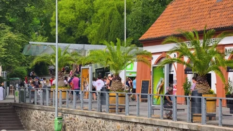 PRAGUE, CZECH REPUBLIC – AUGUST 28, 2026: Visitors gather near the Prague Zoo Vídeo Stock 343926678