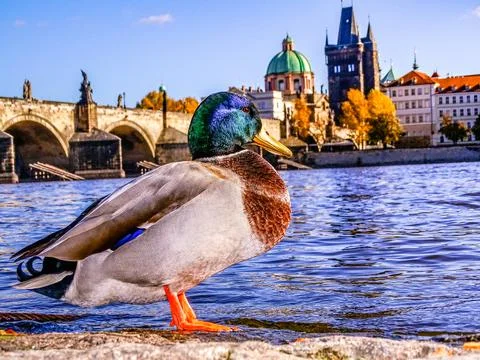 PRAGUE CZECH REPUBLIC Stock Photos