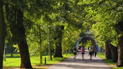 Prague, Czech Republic – September 19, 2026: People use a city park 4K Stock Footage 345902046