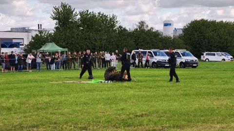 Prague, Czech Republic – September 5, 2026: Police K9 Training Demonstration 库存影片 345061234