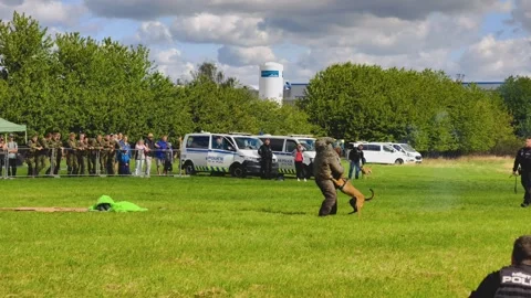 Prague, Czech Republic – September 5, 2026: Police K9 Training Demonstration Vidéo 345061660