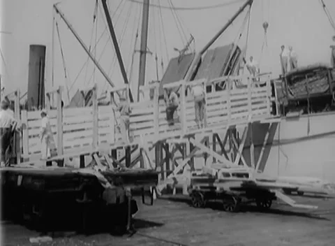 PRAGUE, CZECHOSLOVAKIA - 1945: Dockside herd - Cargo vessel awaits loading Stock Footage 344509105