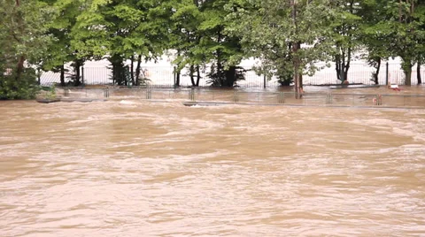 Prague Floods 2013 Trees Under Water Stock Footage 30293424