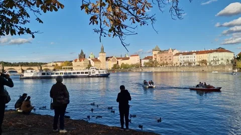 Prague Stock Footage 254034805