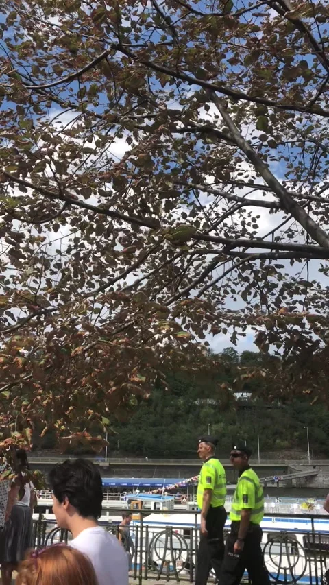 Prague Pride Stock Footage 161785428