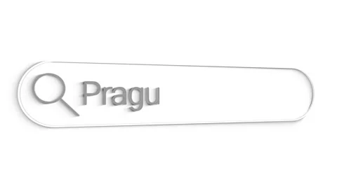 Prague Search Bar Close Up Single Line Typing Text Box Layout Web Database Stock Footage 151546512