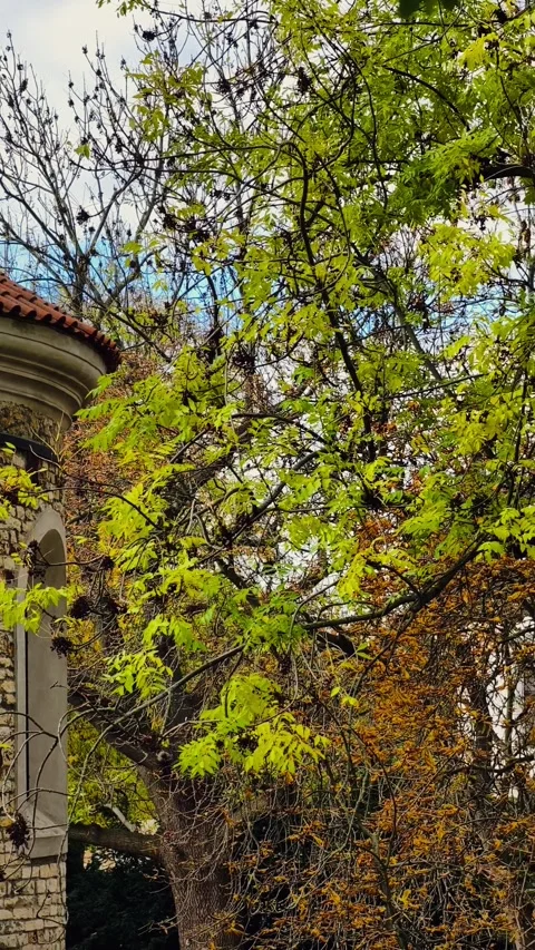 Prague Vysehrad Medieval Architecture Gothic Church Vertical 4K B-roll Footage Stock Footage 320182579