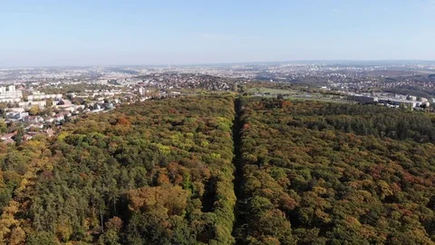 Prague's central park. Stock Footage 119779424