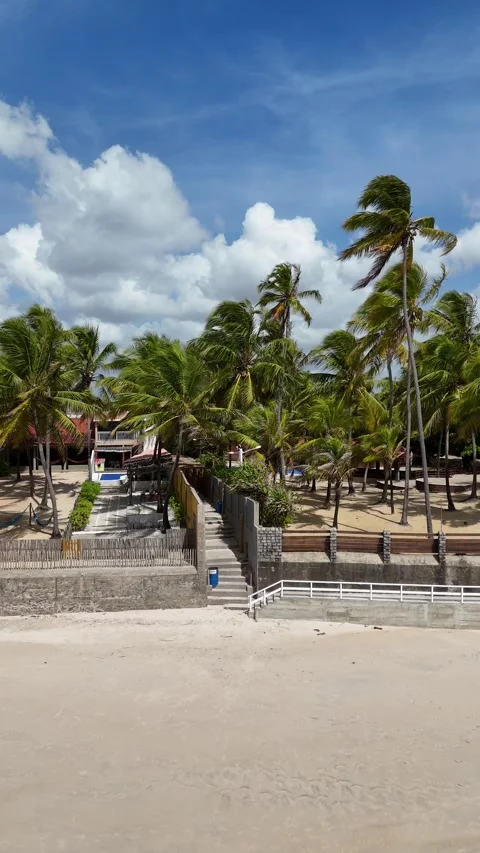 Praia do Cururipe Stockbeeldmateriaal 317761822